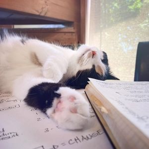 Meet your Posher, Marla